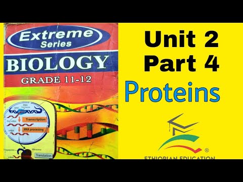 Video Ethiopian Grade 11 Biology Unit_2 p_4 Proteins - YouTube