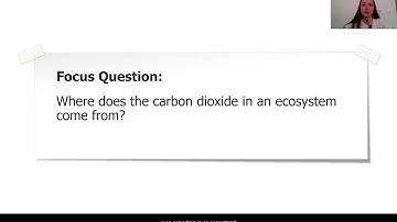 Grade 7: Matter and Energy in Ecosystems, Lesson 3 (Part 2 of 4)