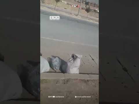 درخواست شغل از دولت جایگزین جمع آوی ضایعات