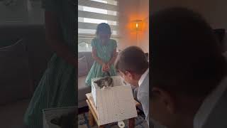 Children's Joyful Reaction to a New Kitten