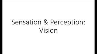 Sensation & Perception: Vision (Part 2)