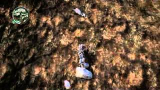 Longest freefall ever! (just cause 2)