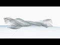 Parametric Bridge With Dynamo