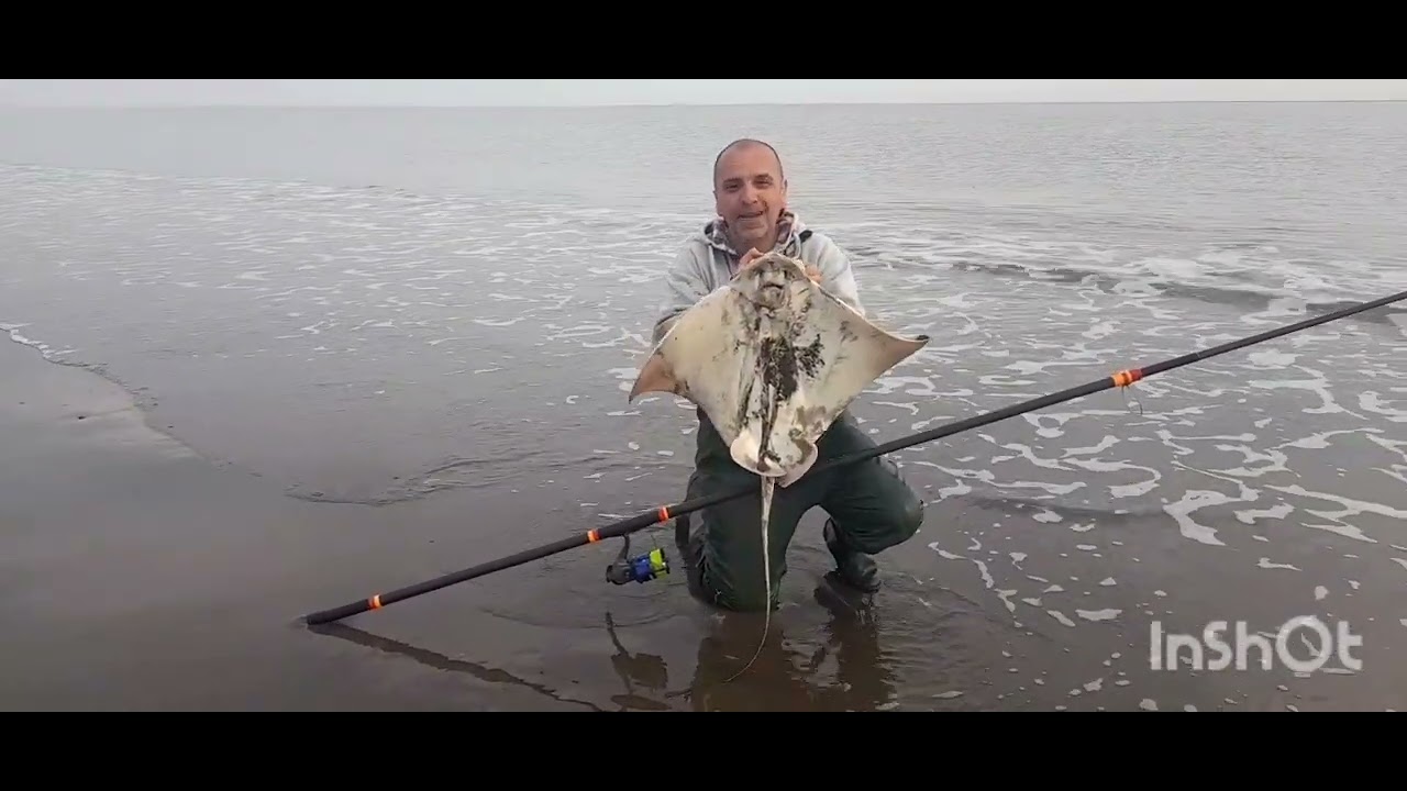 MONSTRUOS EN LA BAHIA 🎣, BAHIA SAN BLAS SIEMPRE LINDO !!!!