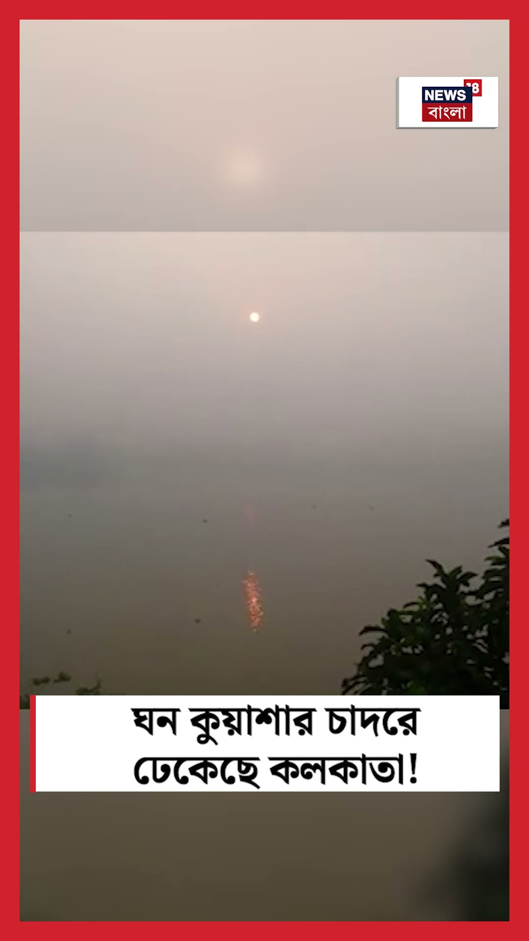 ঘন কুয়াশার চাদরে ঢেকেছে Kolkata ! #shorts