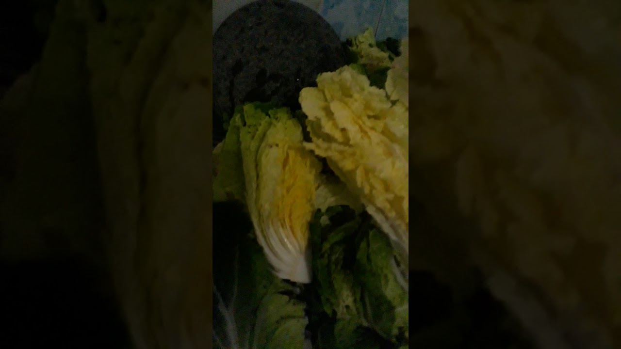 Tutorial membuat kimchi part 1 