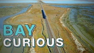 Welcome to Drawbridge: The Bay Area's Last Ghost Town | Bay Curious