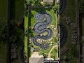 This Dragon Came Alive in a Backyard 😳🐉#epoxy #timelapse #dragon #swimmingpool