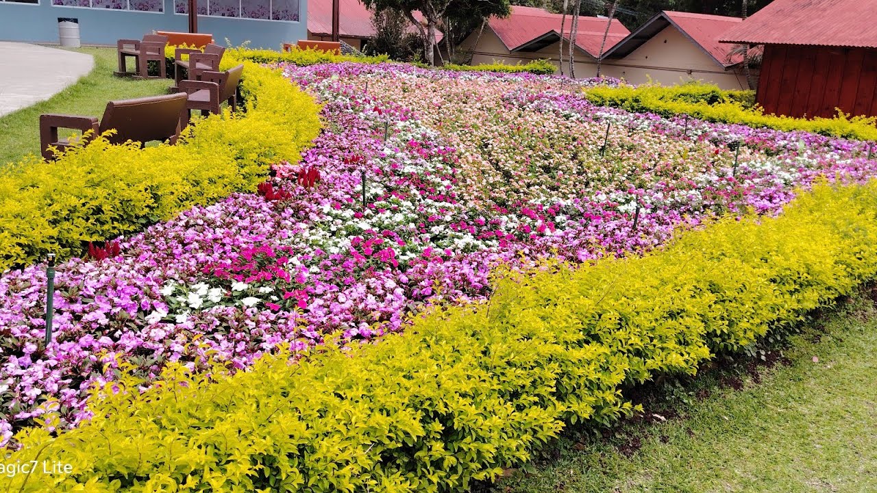 Rios De Agua Viva está en vivo