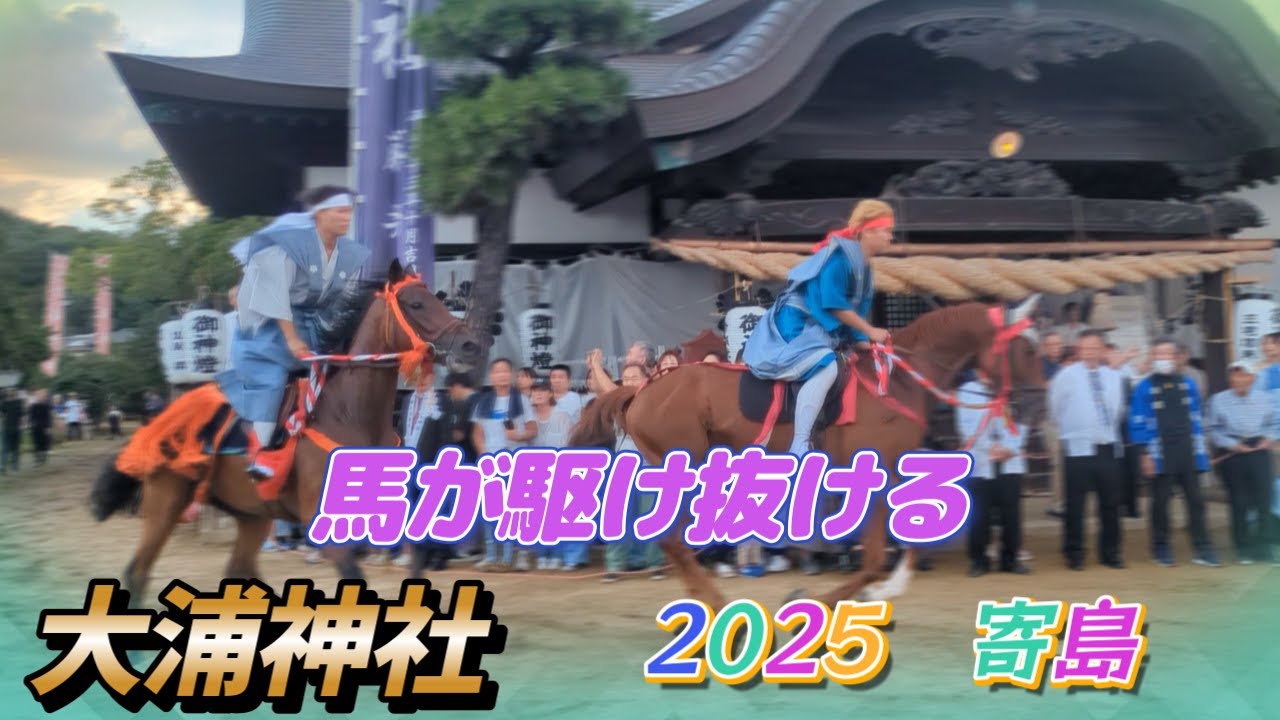 馬が駆け抜ける　大浦神社秋季例大祭　港町寄島の熱いお祭り　2025.10.5