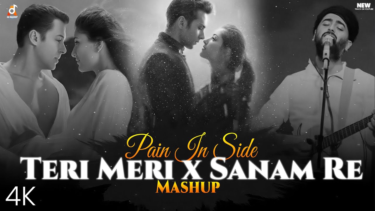 Pain Inside Mashup | Teri Meri x Sanam Re | Bollywood Chillout Mashup 2025 | Arijit Singh Mashup