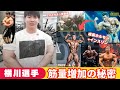 【短期間に急成長】ステロイドを超えた最強のバルクアップPEDについて【ステロイド　効果　筋肉　副作用　ドーピング　ミロス　インスリン】