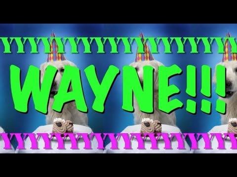 happy-birthday-wayne!---epic-happy-birthday-song