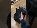 Jordan 4 Black Cat 🥷🏼🐈⬛ #viral #sneakers #nike #shoes #phonkagressive