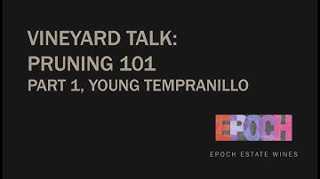 Vineyard Talk, Pruning 101: Part 1, Young Tempranillo