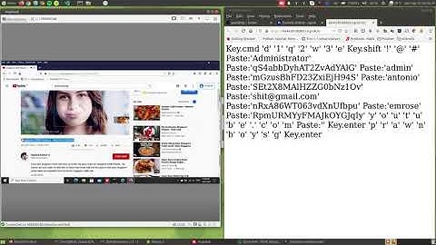 Keylogger + Clipboard logger + Ngrok - (KeePass Password not Safe)