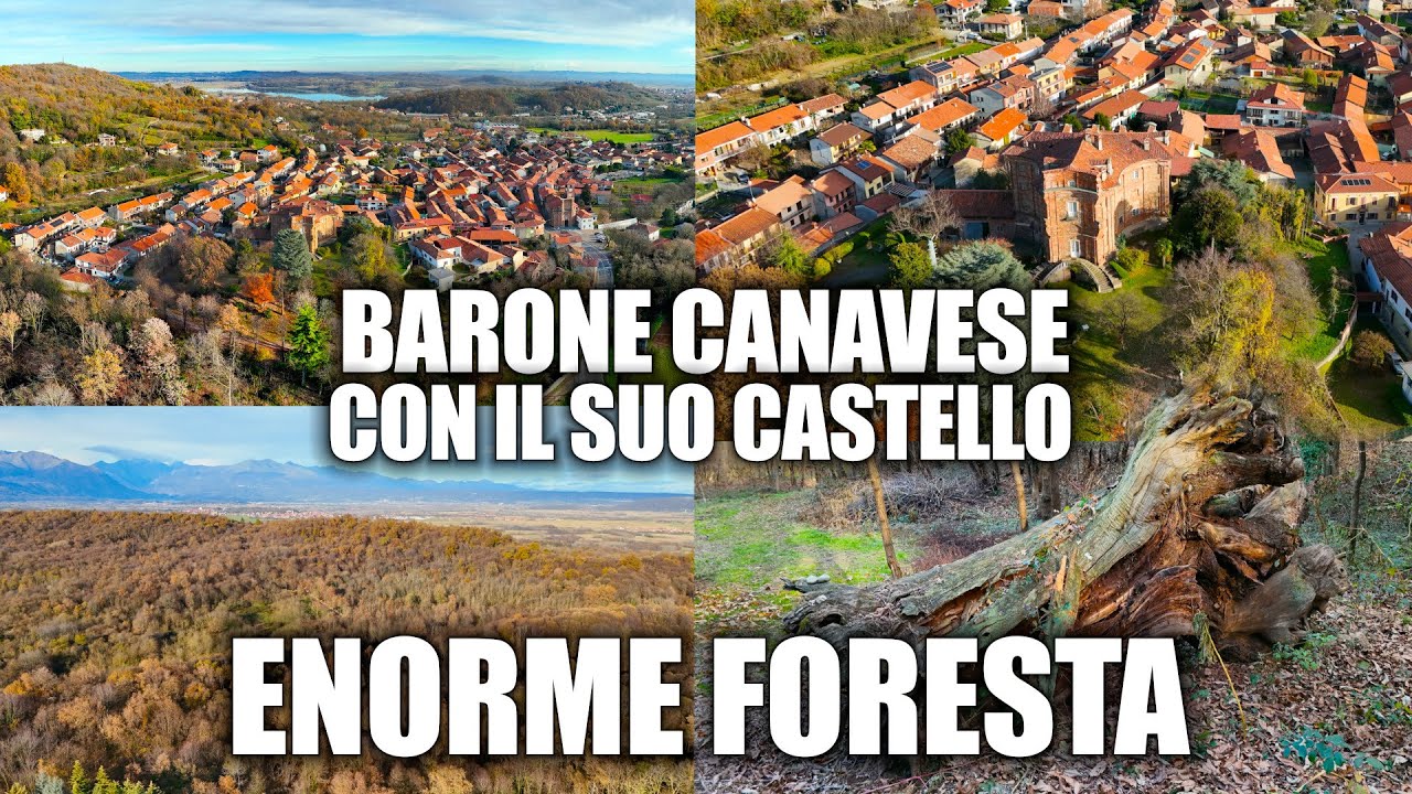 IL CASTELLO DI BARONE CANAVESE CON IL SUO ANTICO BOSCO MAGICO PIENO DI STORIE E CASTAGNI SECOLARI!