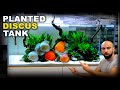 Aquascape Tutorial: HUGE XL Discus Islands Fish Tank (How To: Planted Aquarium Step By Step Guide)