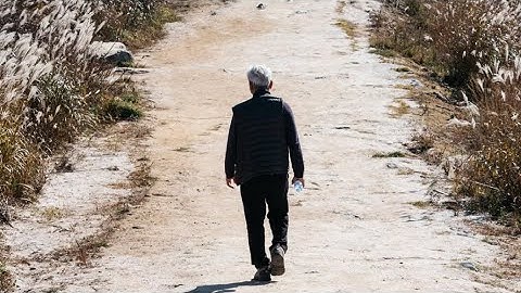 Our Lord Jesus Christ Tells Luisa Piccarreta; Don’t Look At Your Past But Only At The Present