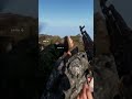 NATO Pilot Gone Simple | #taurus_enjoyer on #Twitch