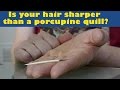 Microscopic World Quiz