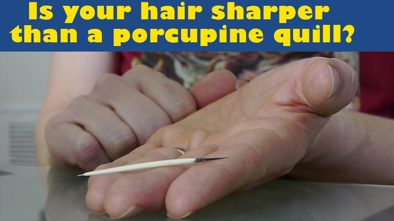 Microscope + porcupine quill = Ouchy awesomeness! Episode 1 of "Dude