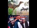 نمات ليل مع الكردوسي الحلقة الاولي