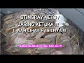 Stingray Nets / Jaring Ketuka !!! Wah Lihat Hasilnya !!!