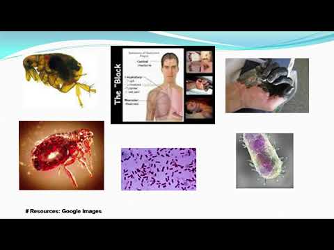 Biological Hazard (ESE Presentation; Assignment of Group 7 )