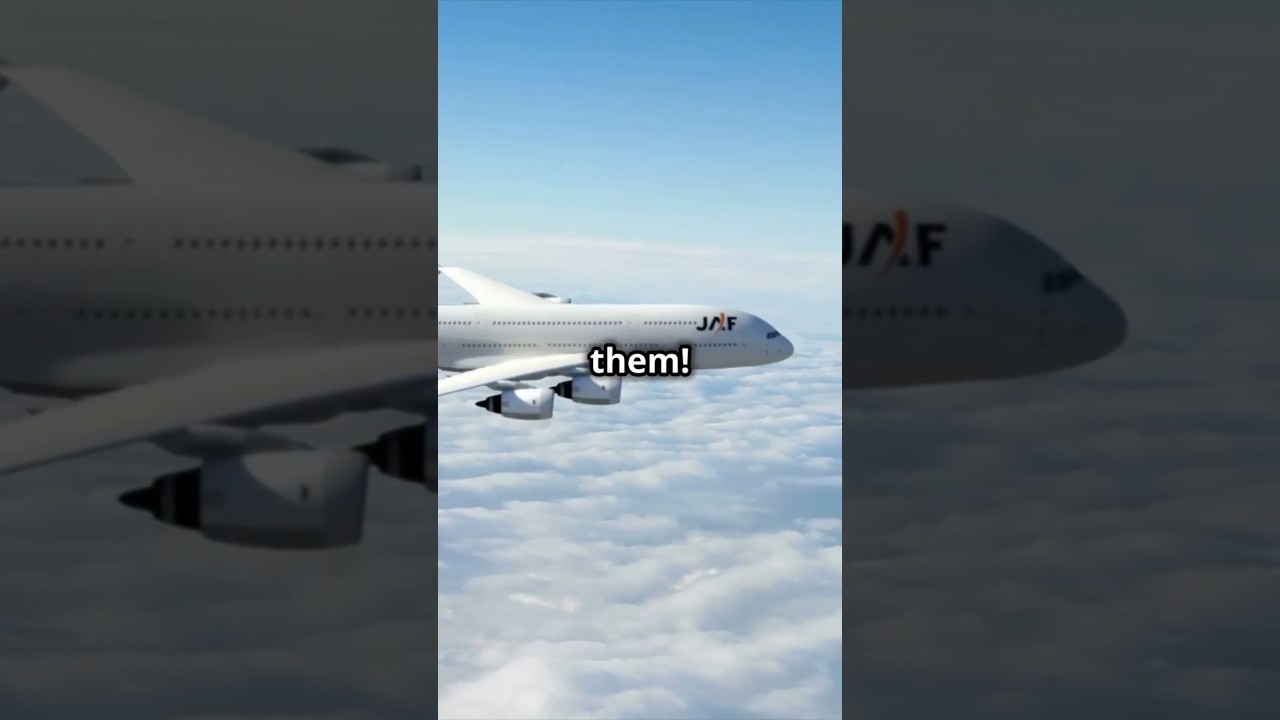 5 Fun Facts About Airplanes! ✈️