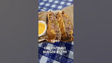 CNE 2025 UFO BURGER 17 99 