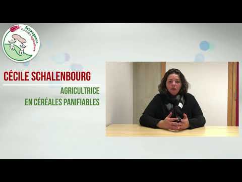 Comment développer les filières de céréales alimentaires en Wallonie ? - Le colloque