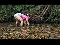 Fishing Technology: Amazing Fishing, Catch a Lot of Fish | LyTieuDuyen.