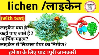 What Is Lichen What Is Lichen In Hindi What Is Lichen In Biology Economic Importance Of Lichen