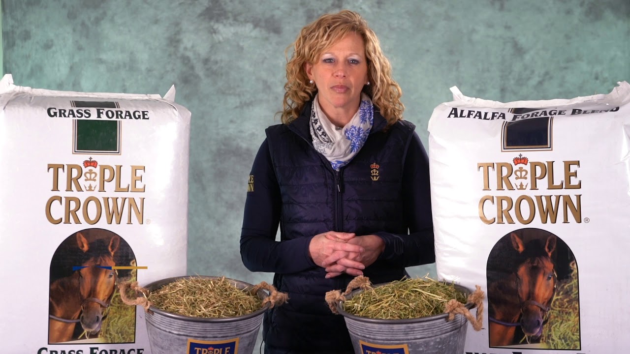 Horse Feed Experts Triple Crown Chopped Forages YouTube