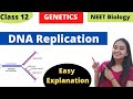 DNA Replication | Molecular Basis of Inheritance | Class 12 Genetics