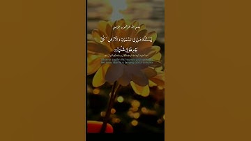 {وَلَهُ الْجَوَارِ الْمُنشَآتُ فِي الْبَحْرِ كَالْأَعْلَامِ}  الشيخ محمد الفقيه (سوره الرحمن)