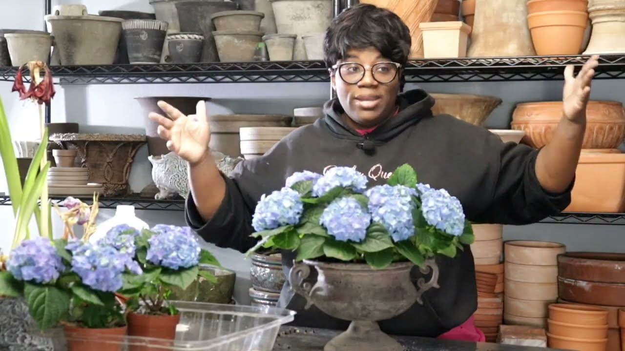 Вирусный чизкейк из TikTok 🎂 🥮 Кеке Джонс // Размножение гортензий / Работа в теплице // КОРОЛЕВА...