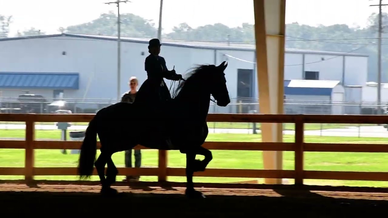 Nic and Yellica in Class 74 - Open English Pleasure W/T Championship at Dayton Horse Show