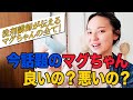 【マグちゃんって良いの？悪いの？】今話題の洗濯グッズを斬る！全国を講座で廻った洗剤講師が伝えるマグちゃんの全て！
