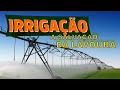 IRRIGAÇÃO  IMPORTANTISSIMO PARA A AGRICULTURA BRASILEIRA