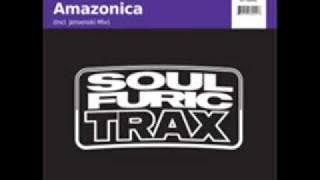 Raul Moros - Amazonica (nighttime mix)