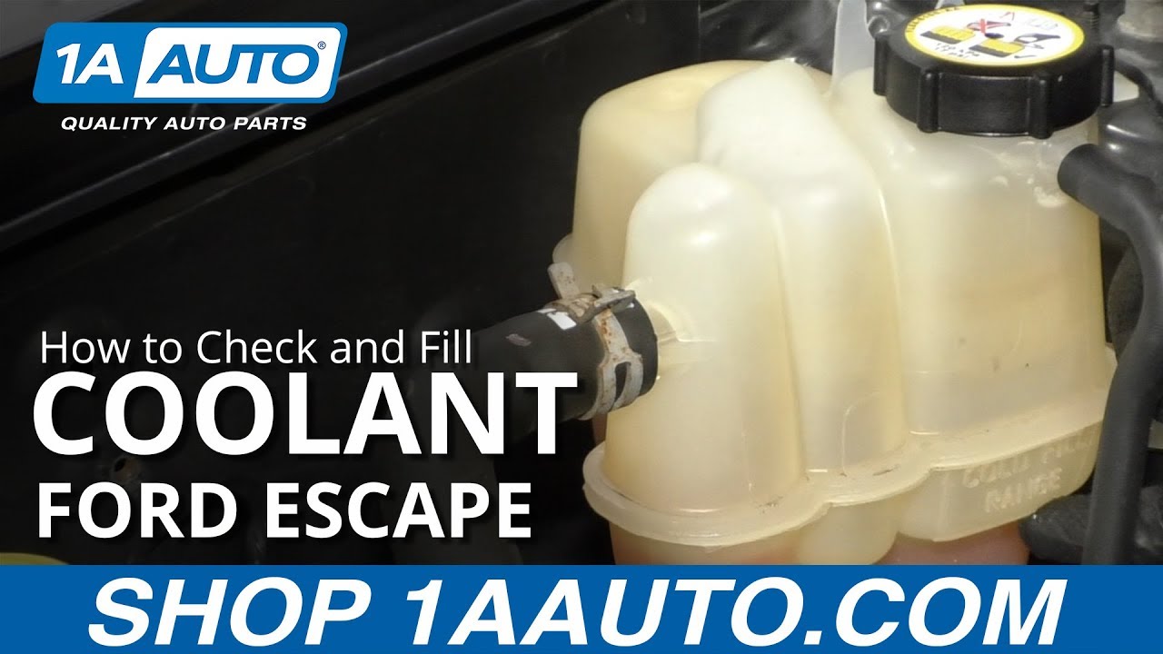 How to Check and Fill Coolant 2008-12 Ford Escape | 1A Auto