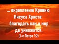 Проповедь: Окроплению Кровию Иисуса Христа: благодать вам и мир да умножится - 25.02.2021