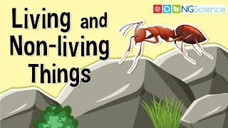 What Are Living and Non-living Things?