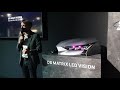 DS Matrix LED Vision - explanation &amp; demonstration | autofilou [1440p]