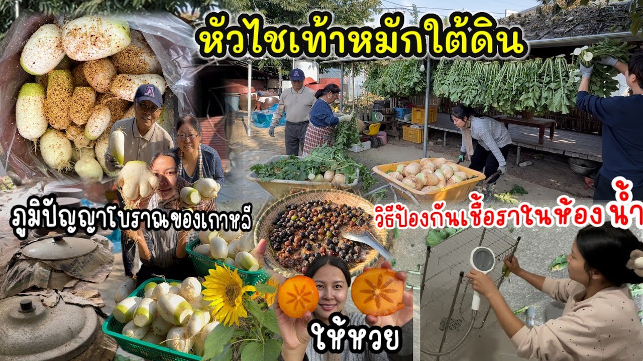 EP.993 ฤดูหนาวมาเยือน อาหารก็เริ่มขาดแคลน เก็บให้หมดห้ามทิ้ง ทุกอย่างทานได้ การถนอมอาหารของคนที่นี่