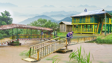 Young Girl Build a 120 Meter Long Bamboo Bridge Across the Stream - Start to Finish. TIMELAPSE