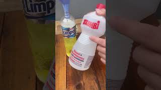 Acabe com os insetos da sua casa com esta dica simples!