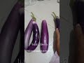 What color is eggplant? #english #arabic #learnarab
